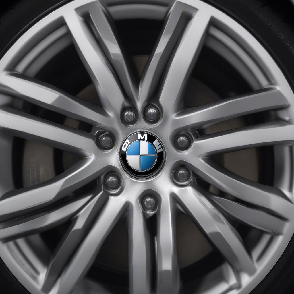 BMW và Michelin hợp tác