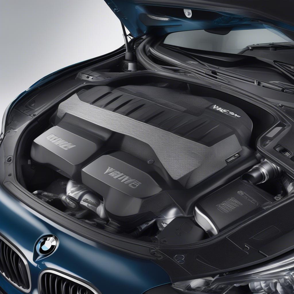 Động Cơ Mạnh Mẽ BMW VCX SE