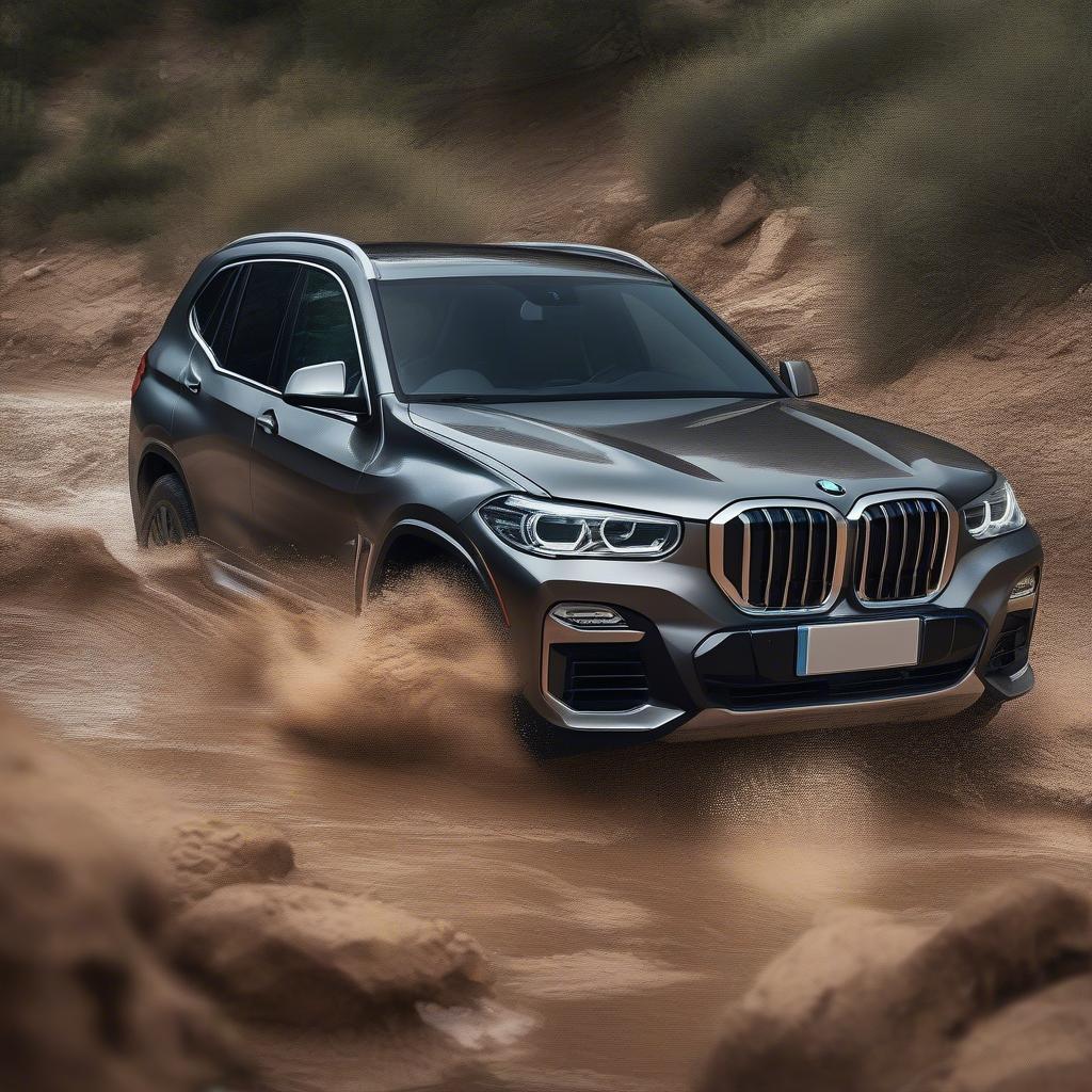 BMW X Series Offroad