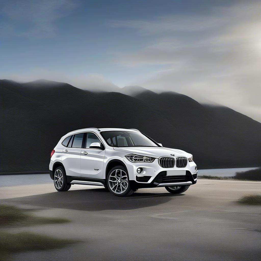 Ngoại thất BMW X1 sDrive28i FWD 2018