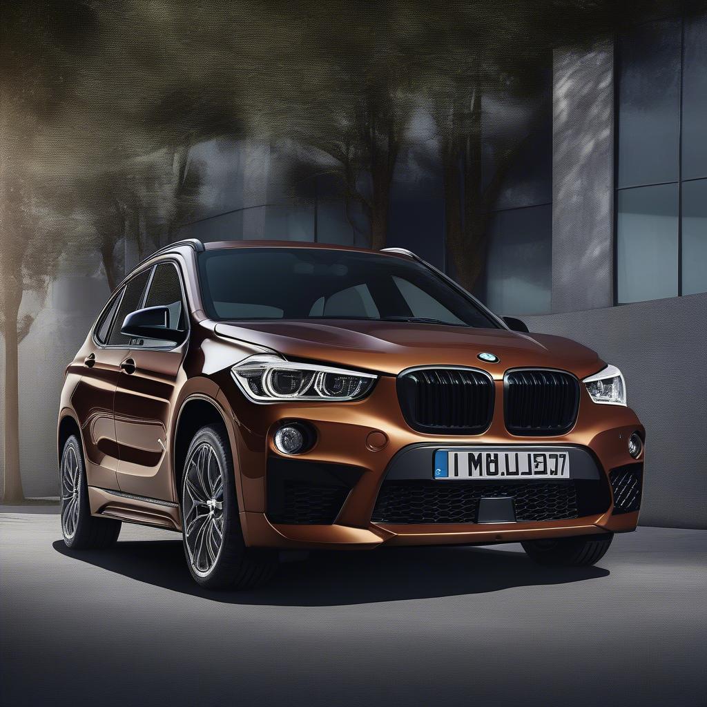 BMW X1M 2017 Ngoại Thất