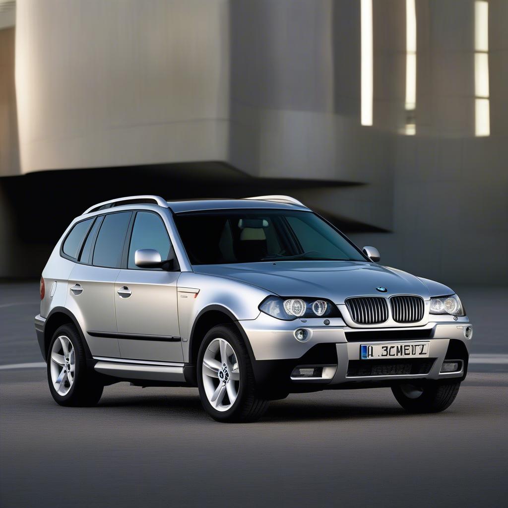 Ngoại thất BMW X3 2004