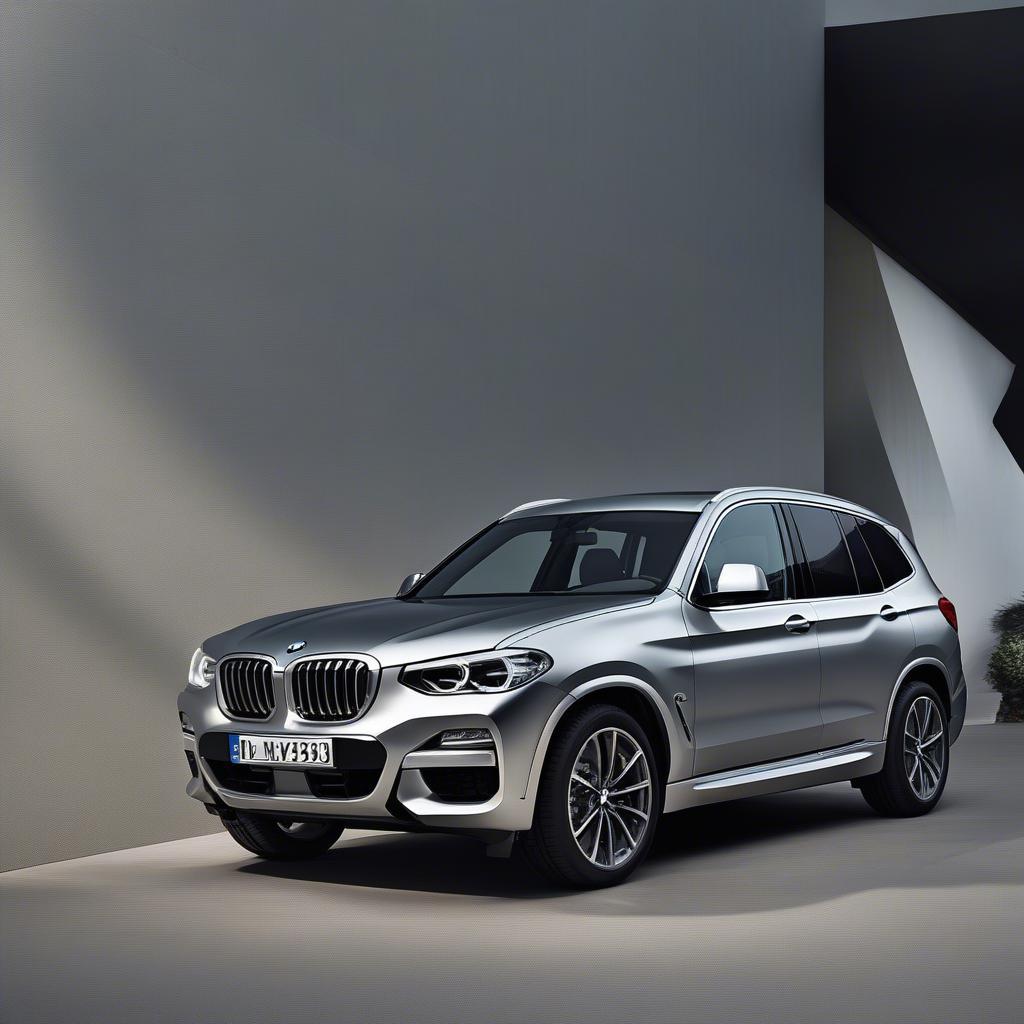 BMW X3 Mineral Silver Ngoại Thất