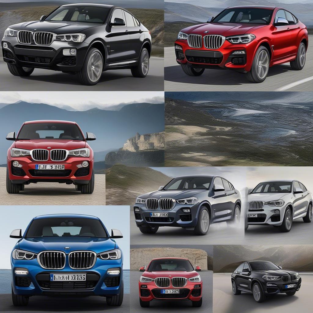 Các phiên bản BMW X4