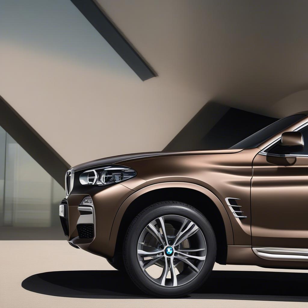 BMW X4 Chenus Bronze Ngoại Thất