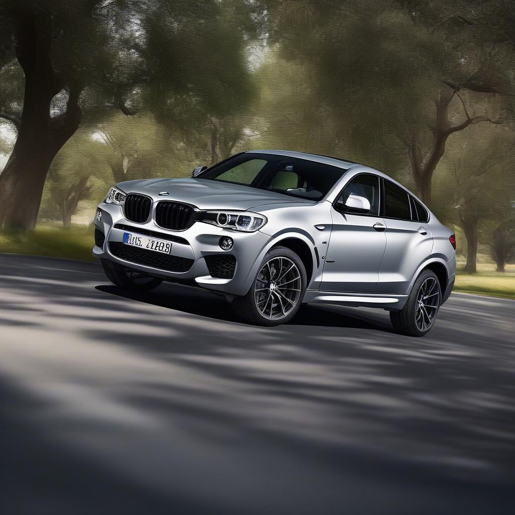 BMW X4 M 2016 Ngoại Thất