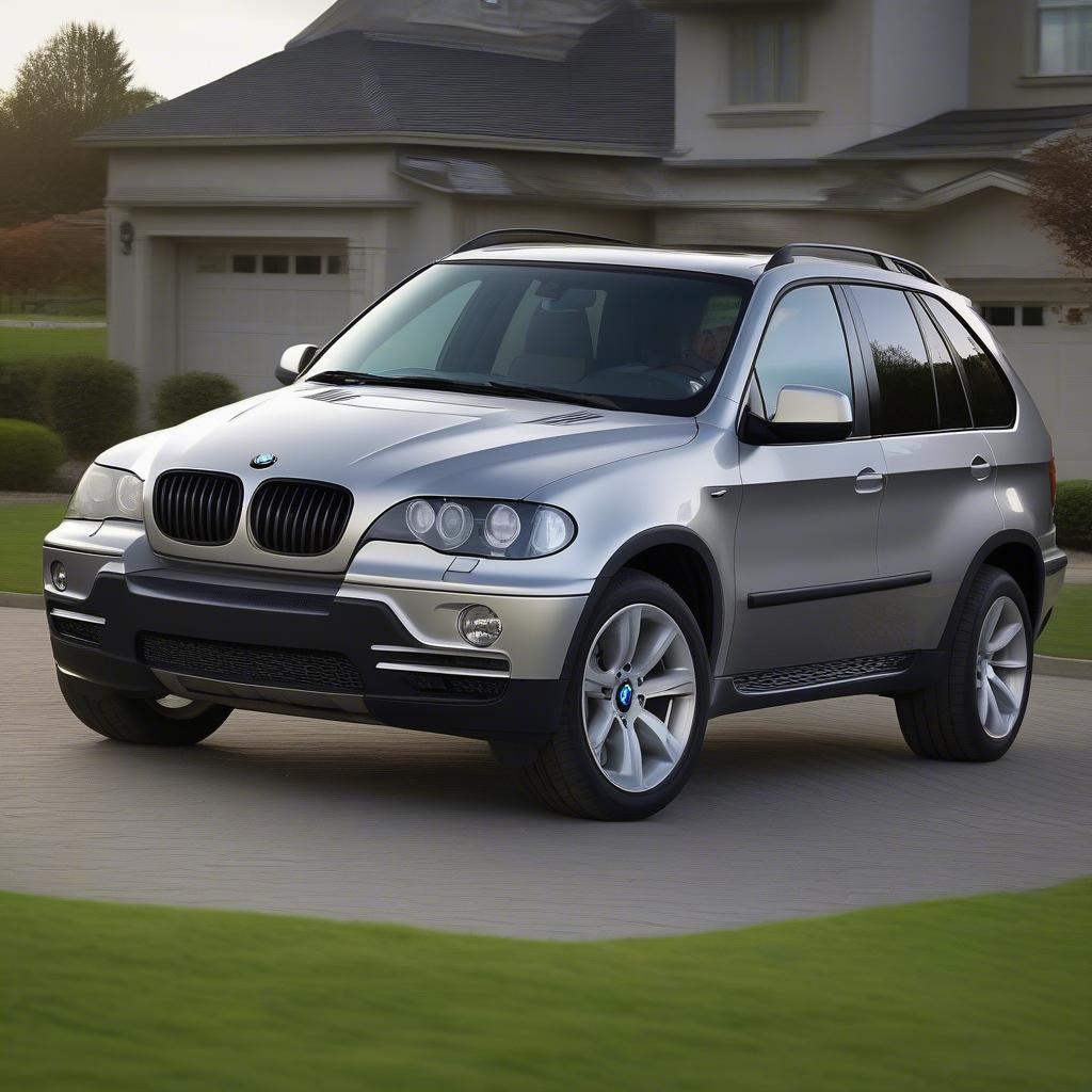 BMW X5 2007 Diesel Ngoại Thất