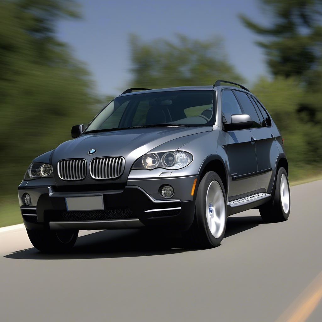 Ngoại thất BMW X5 2007