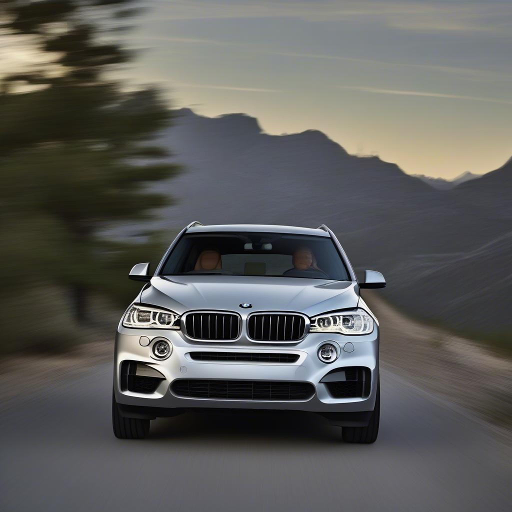 BMW X5 2015 Ngoại Thất