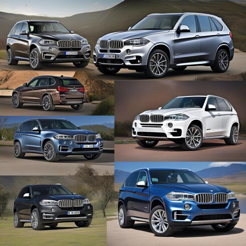 BMW X5 2017 Các phiên bản