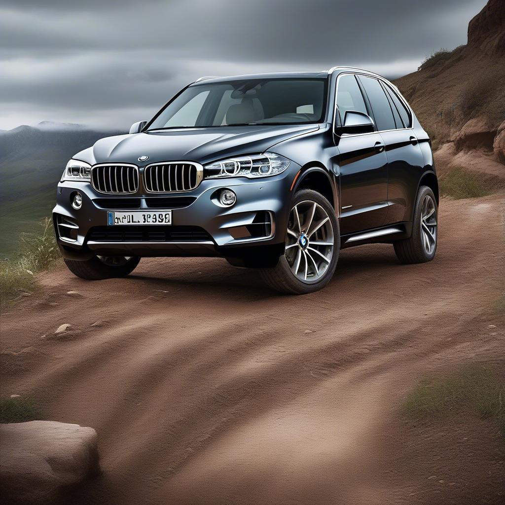 BMW X5 2017 Off-road