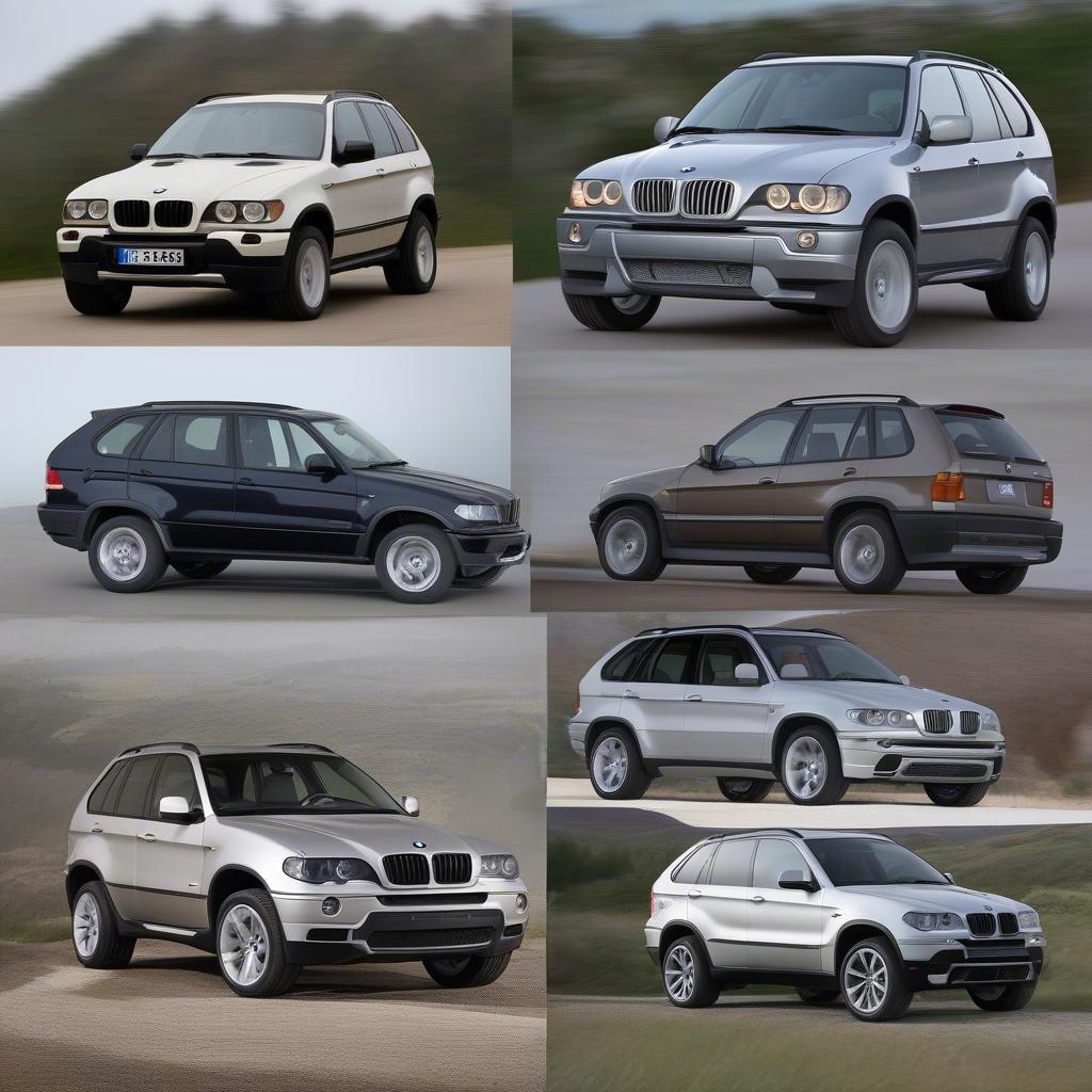 BMW X5 Cũ Các Đời