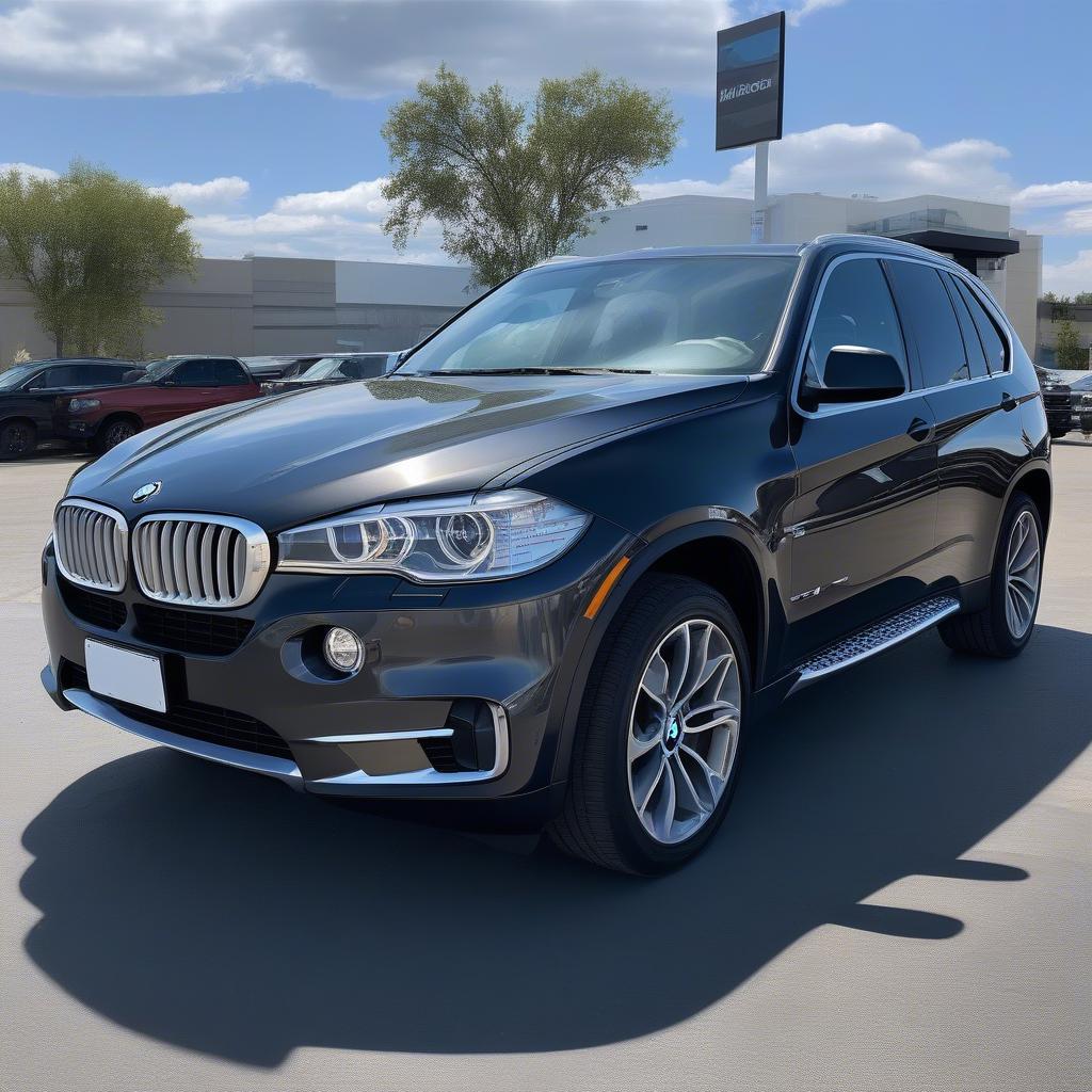 BMW X5 Cũ Đang Sale