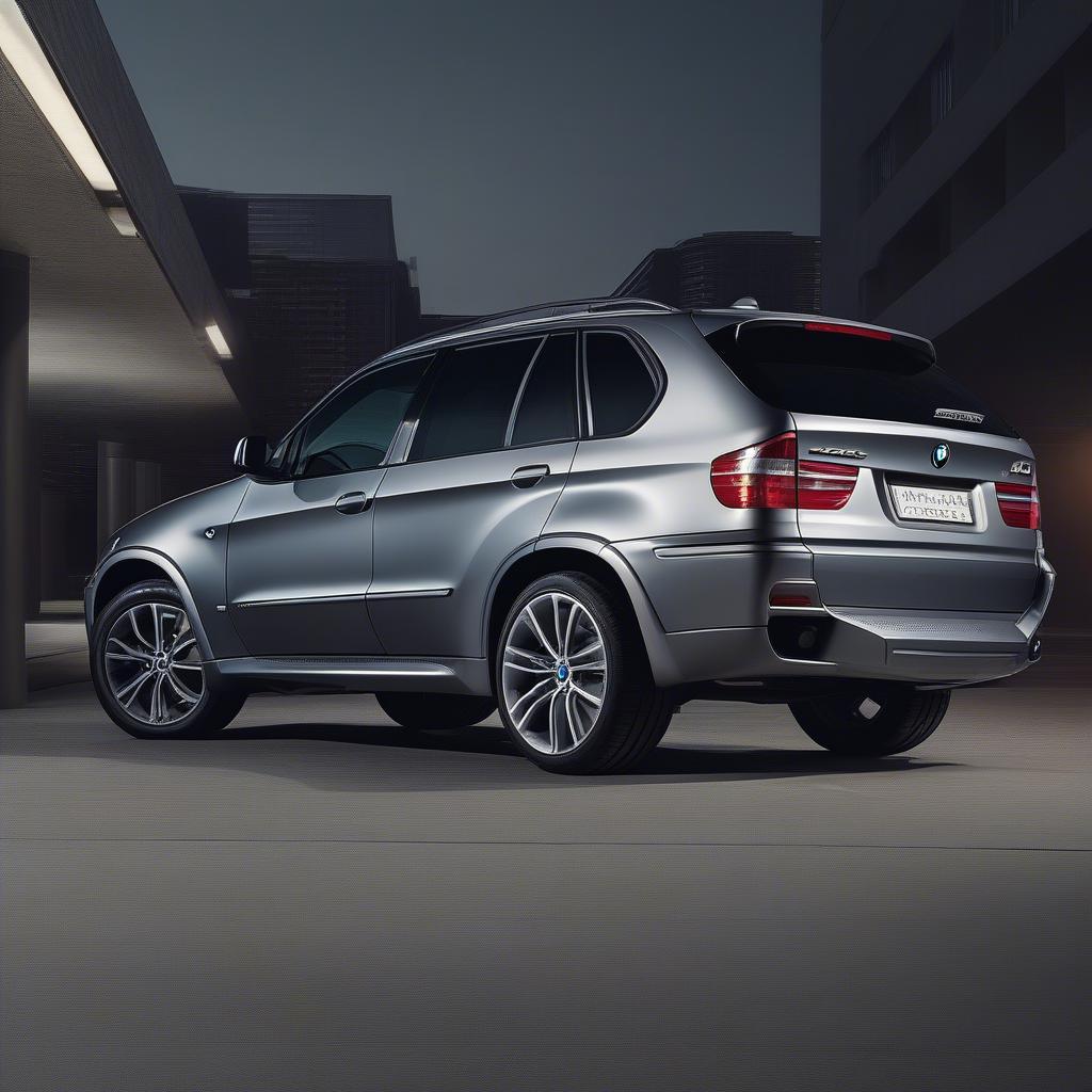 BMW X5 cũ ngoại thất