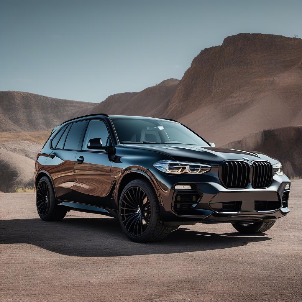 BMW X5 độ hoàn thiện