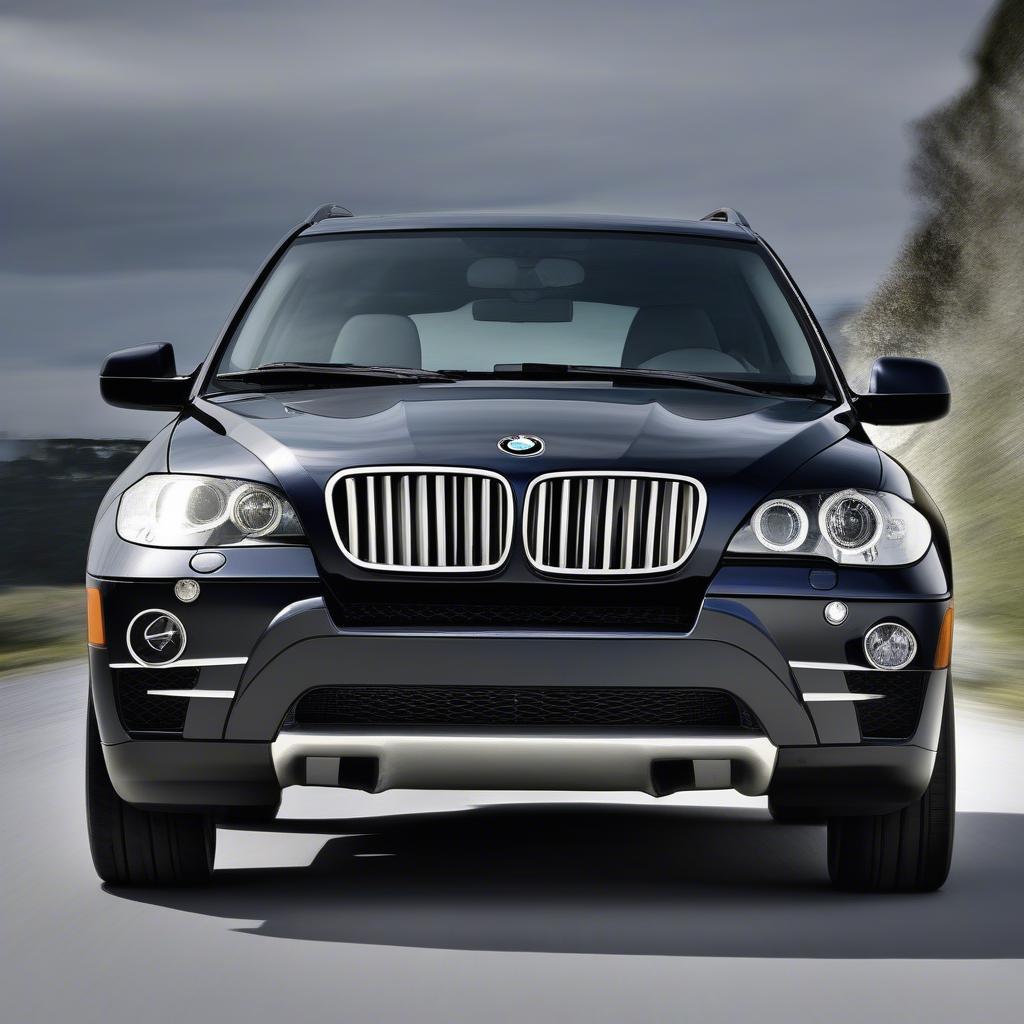 BMW X5 E70 2008 Ngoại Thất