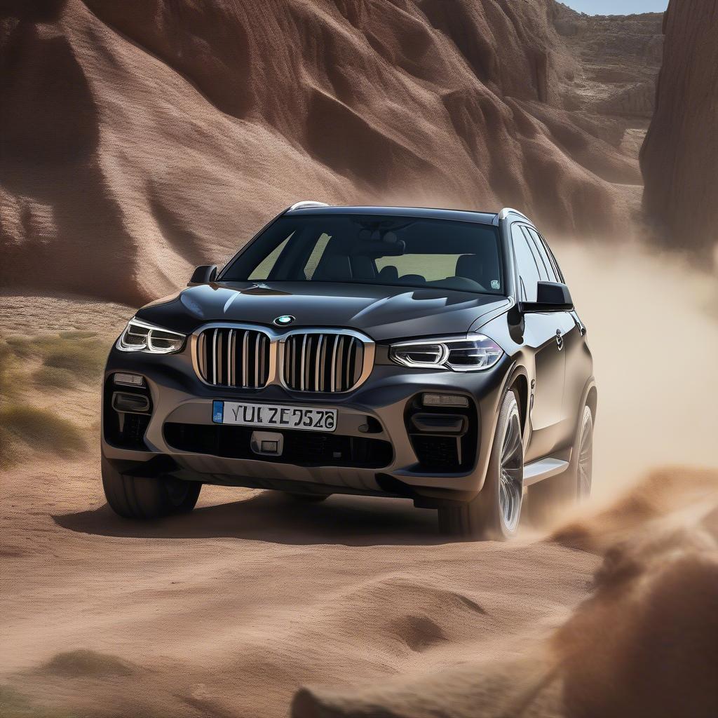 BMW X5 mạnh mẽ và đa dụng