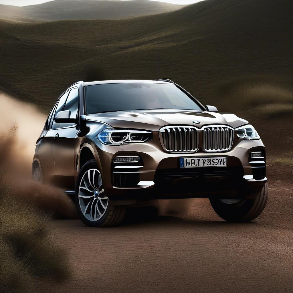 BMW X5 Off-road