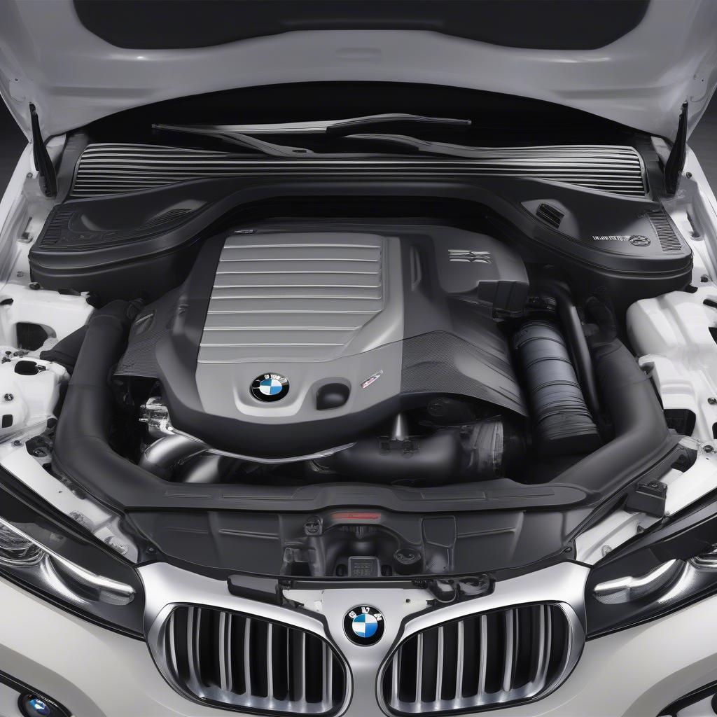 BMW X5 Series 5 Động Cơ Diesel