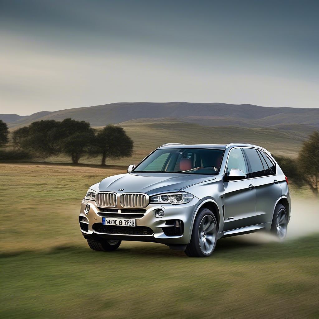 BMW X5 vận hành trên địa hình cỏ