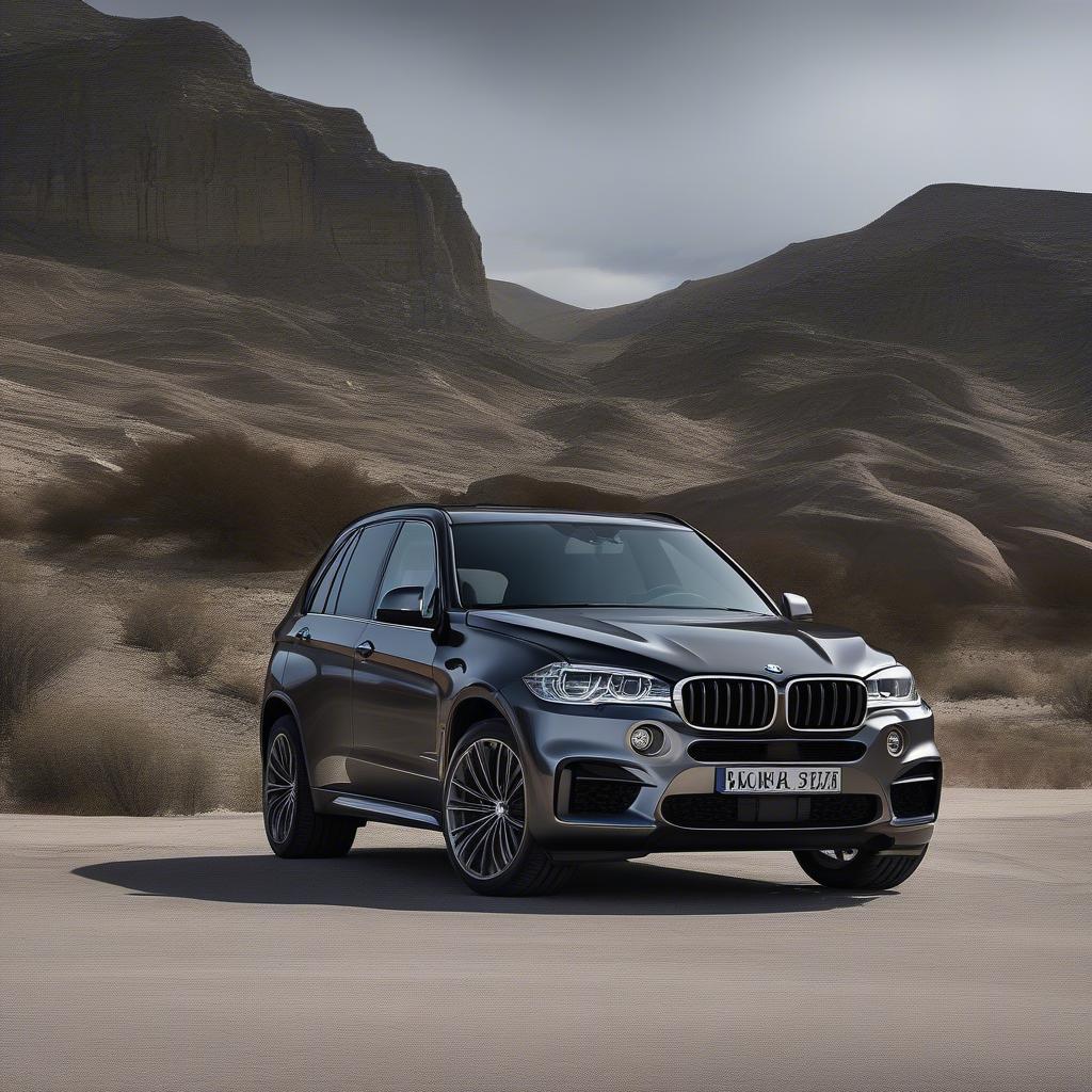 BMW X5 với động cơ N57Z