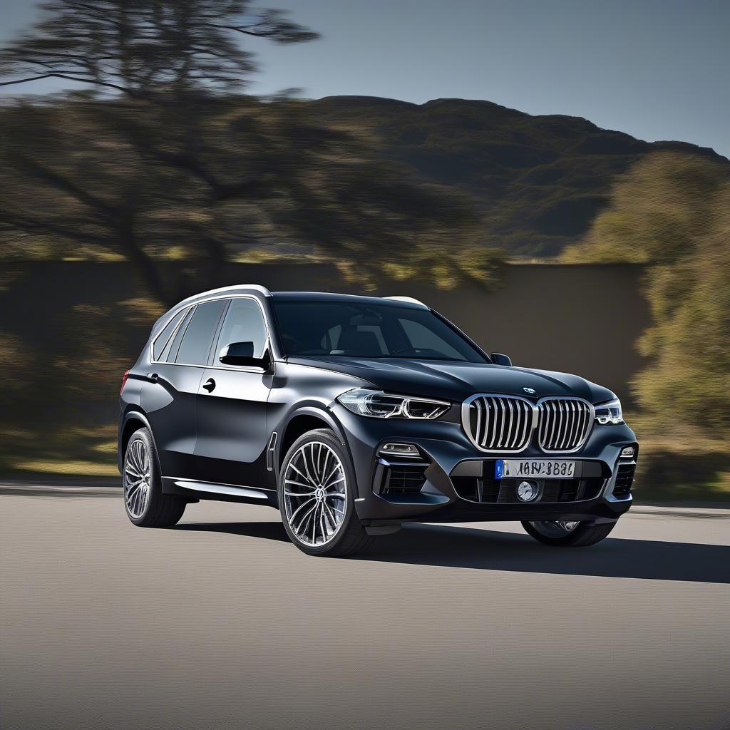 Ngoại thất BMW X5 xDrive30d M Sport 7 chỗ 2019