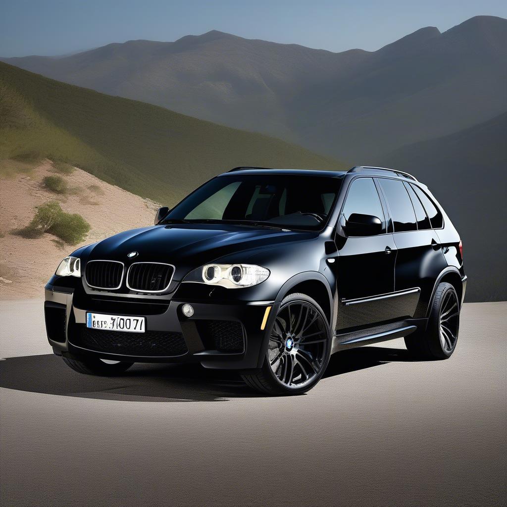 Ngoại thất BMW X5M E70 2011