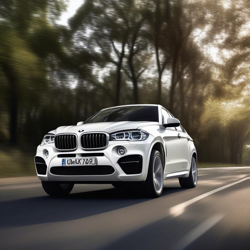 Ngoại thất thể thao của BMW X6 2015