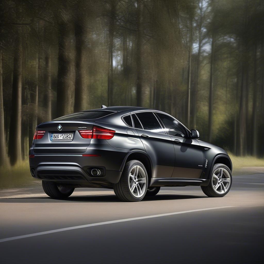 BMW X6 E71 Ngoại Thất