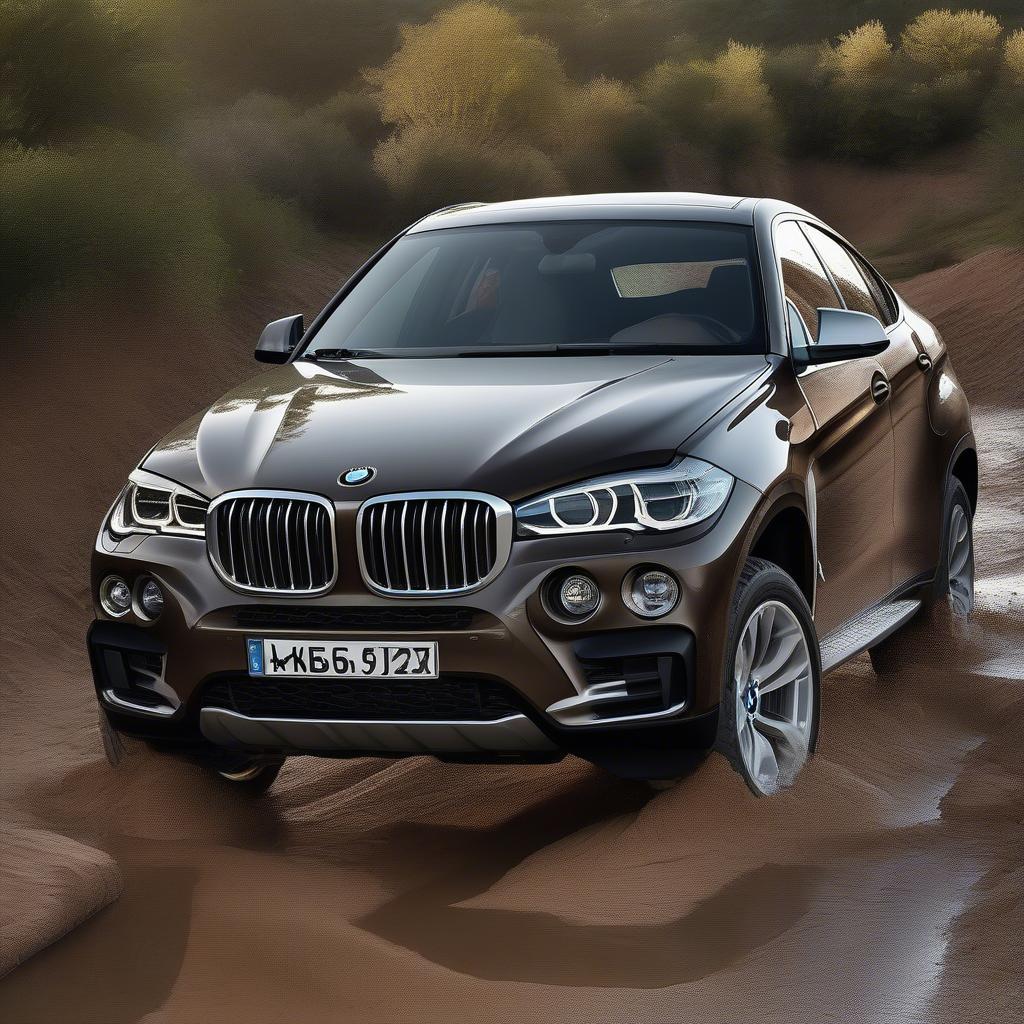 BMW X6 mạnh mẽ trên đường off-road