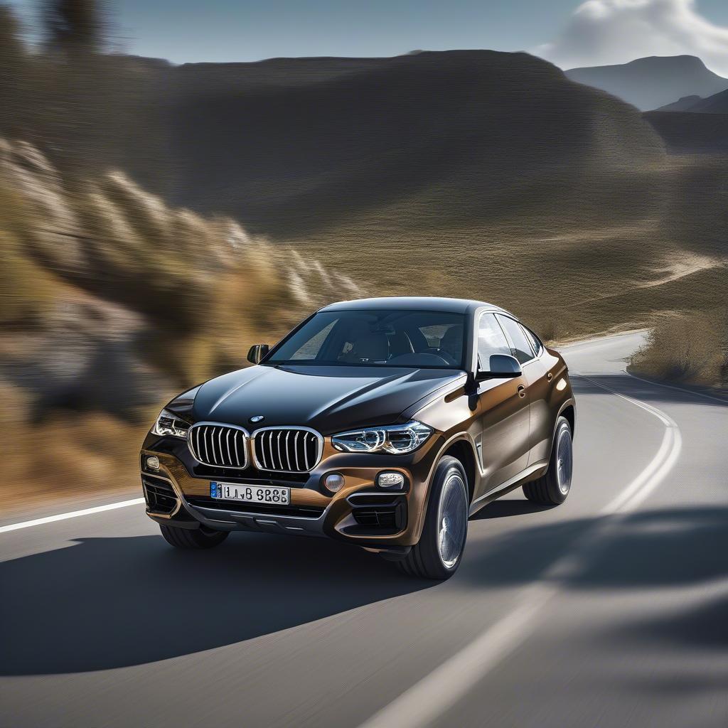 BMW X6 Sport vận hành mạnh mẽ