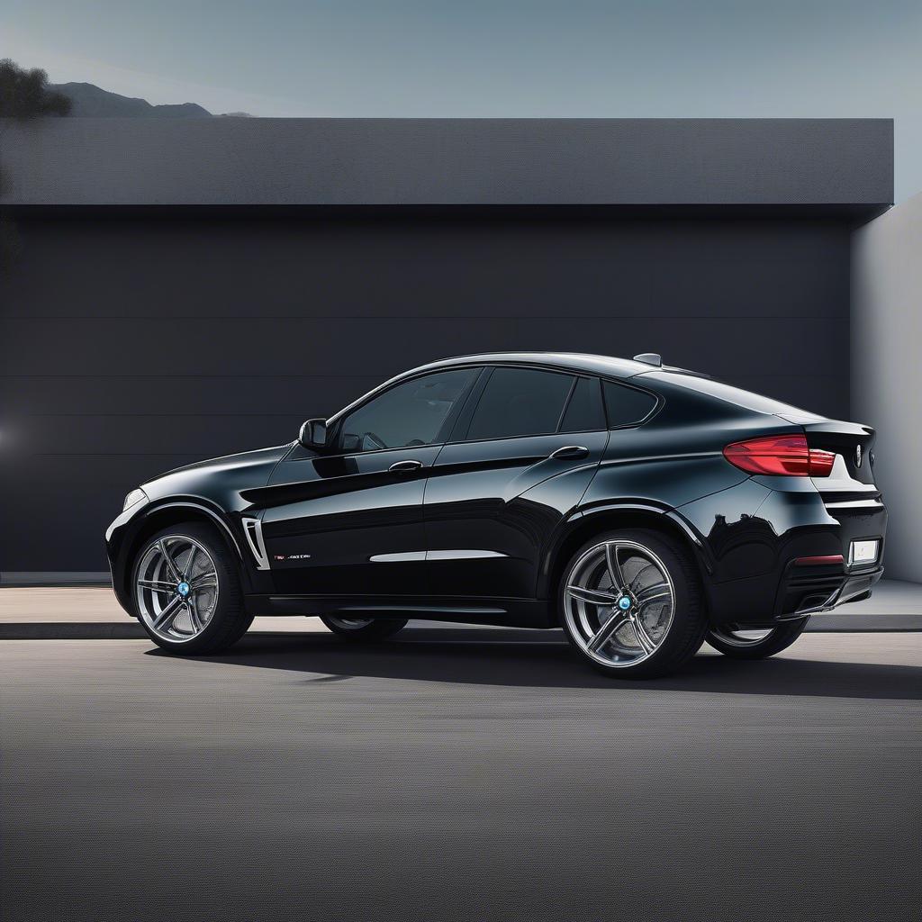 BMW X6 Với Vành 22 Inch