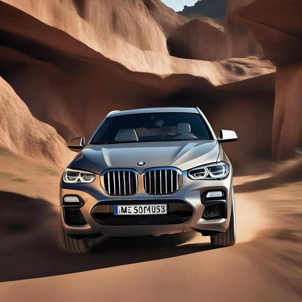 BMW X6 xDrive50i vận hành mạnh mẽ