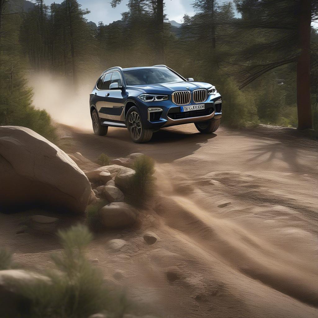 BMW XDrive Adventure chinh phục địa hình off-road