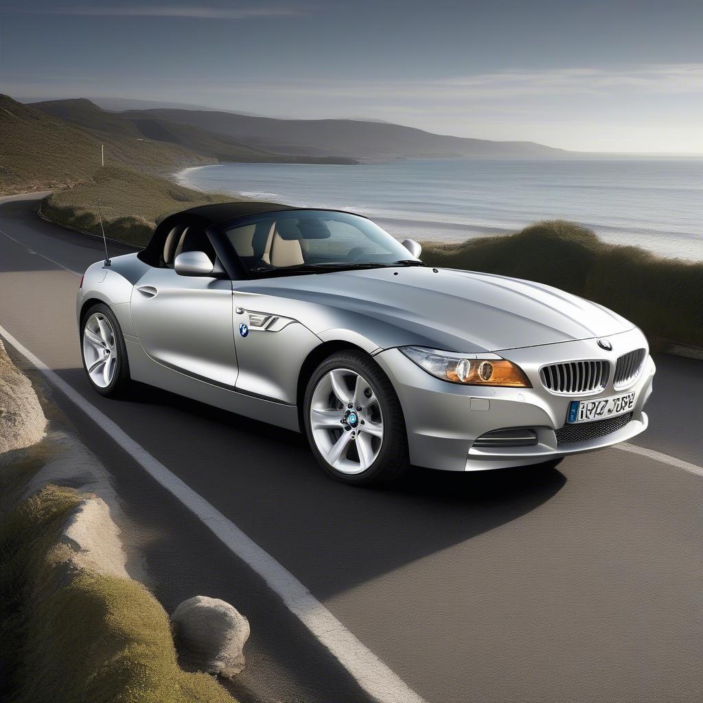 Ngoại thất BMW Z4 3.5 s Driver Model 2011