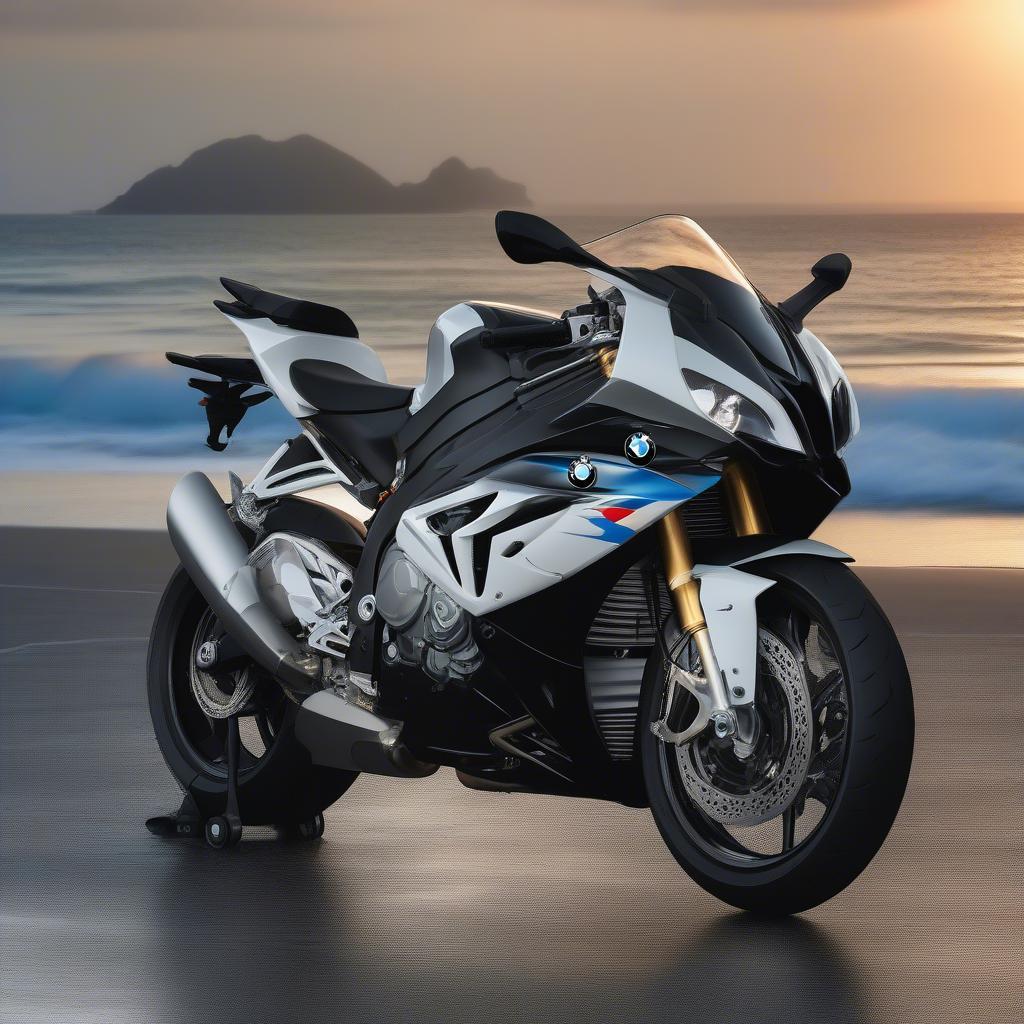 Hình ảnh Cá Mập Lên Bờ BMW S1000RR