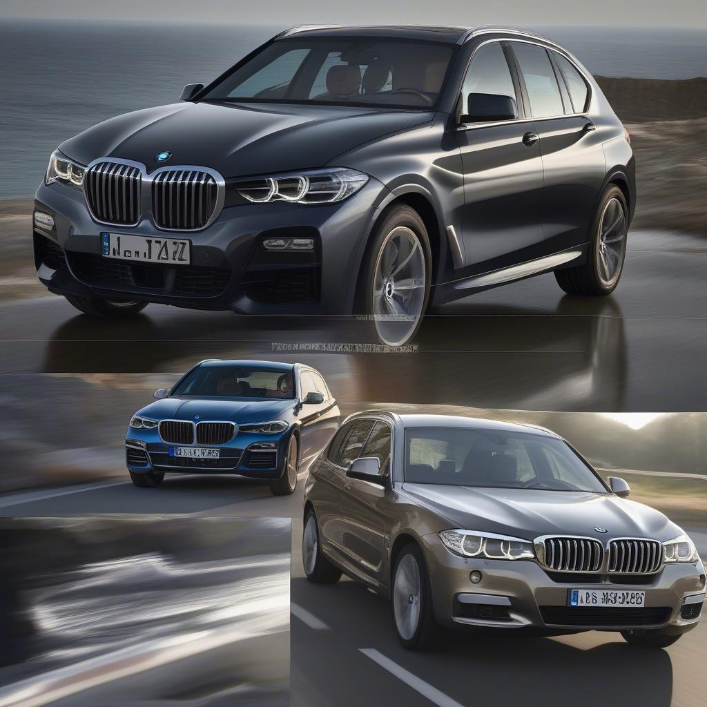 Các dòng xe BMW nổi bật