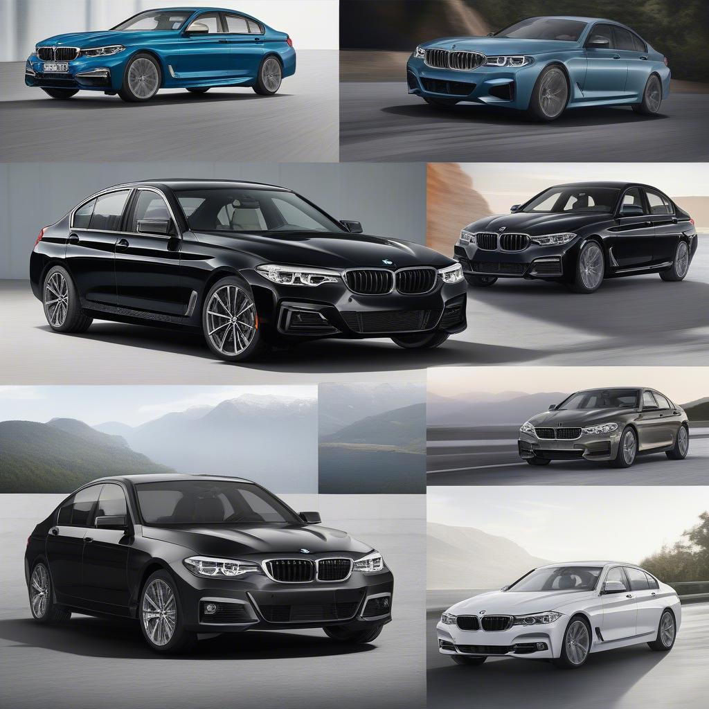 Các dòng xe BMW đa dạng tại Taylor BMW Augusta