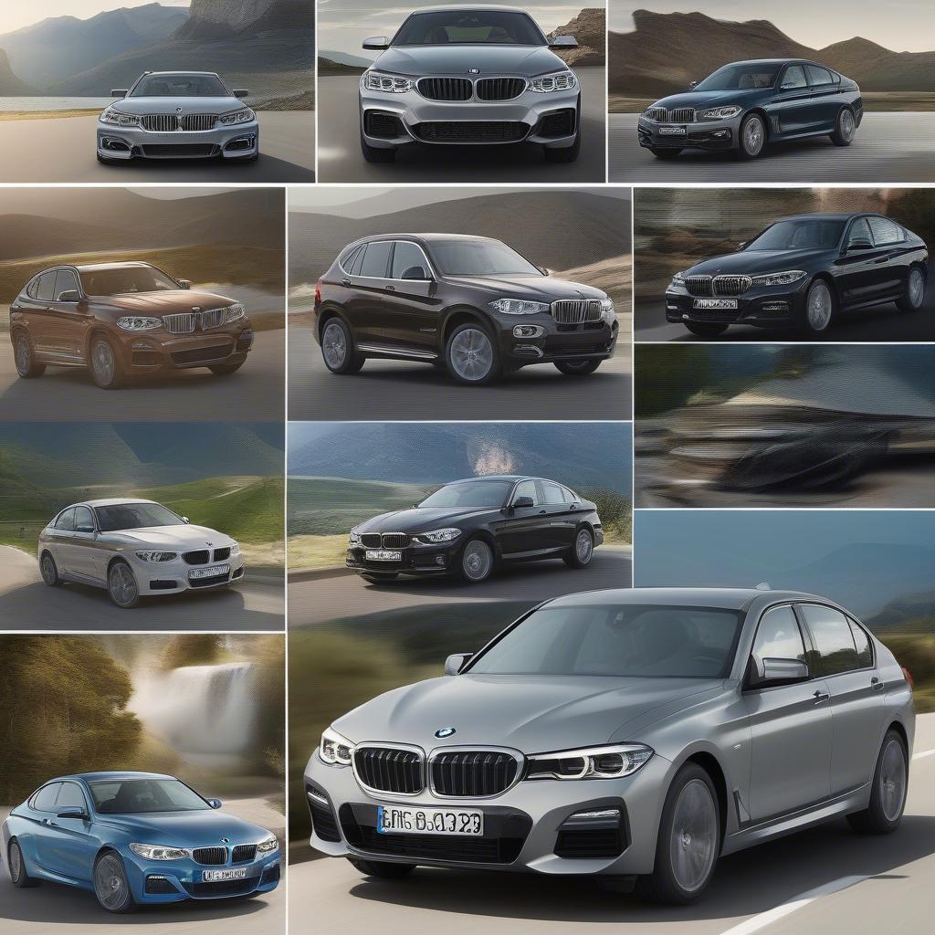 Các gói hỗ trợ tài chính BMW