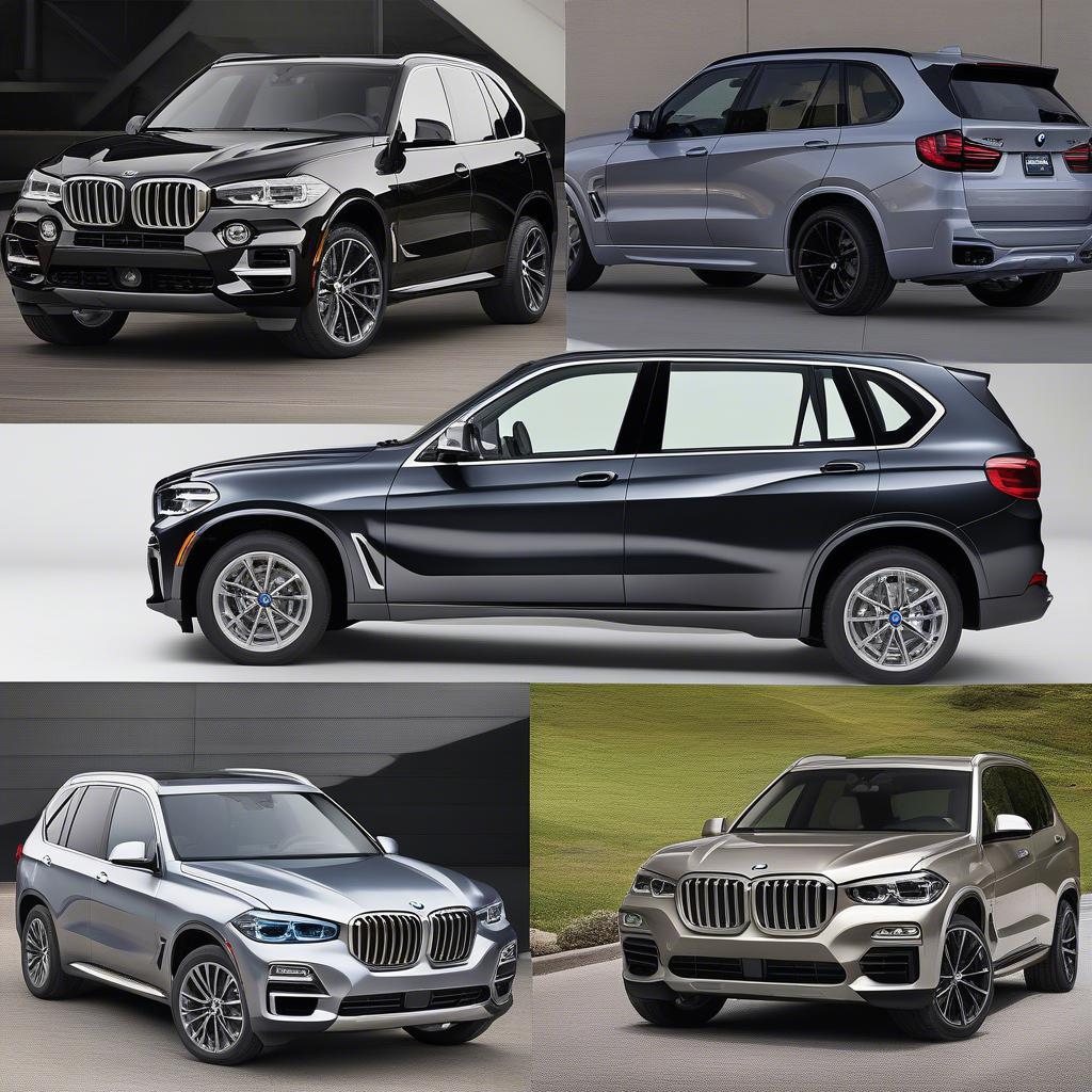 Các loại nẹp bước chân BMW X5 với chất liệu và kiểu dáng đa dạng