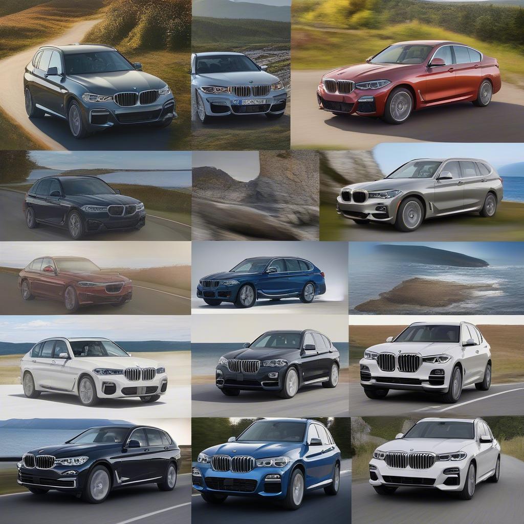 Các mẫu BMW phổ biến tại Nova Scotia