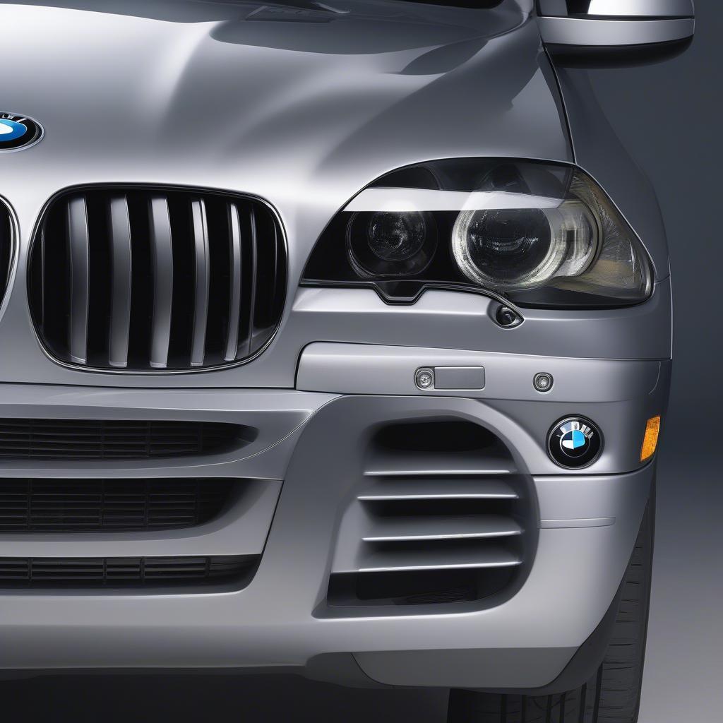 Đánh Giá BMW X5 2007 Ngoại Thất: Vẻ Đẹp Vượt Thời Gian