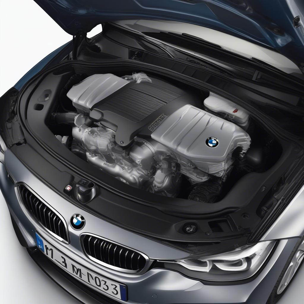 Đánh giá động cơ BMW 310: mạnh mẽ và tiết kiệm