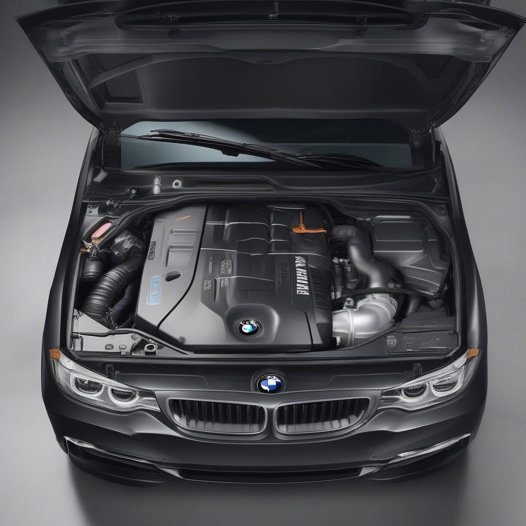 Động cơ BMW: Xăng hay Diesel?