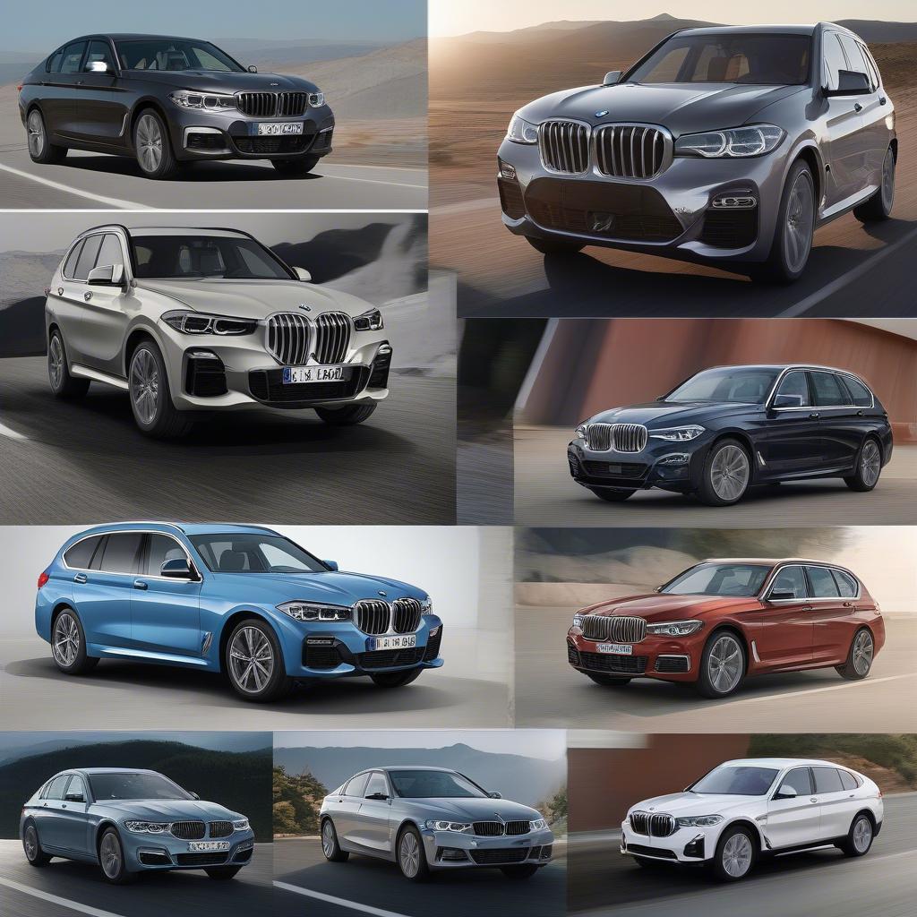 Các dòng xe BMW đa dạng từ sedan đến SUV