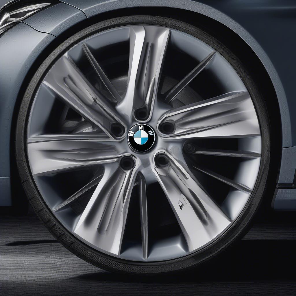 Hoa Văn Lốp Xe BMW Đối Xứng