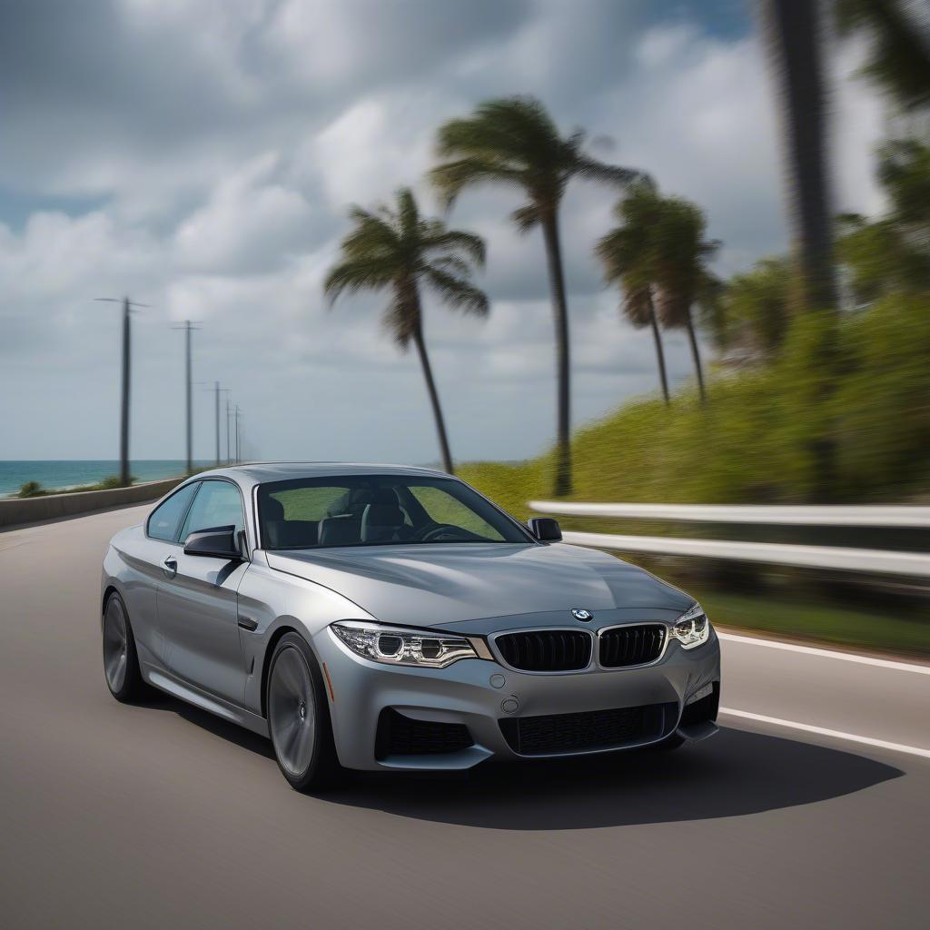 Trải nghiệm lái thử BMW tại Boca Raton