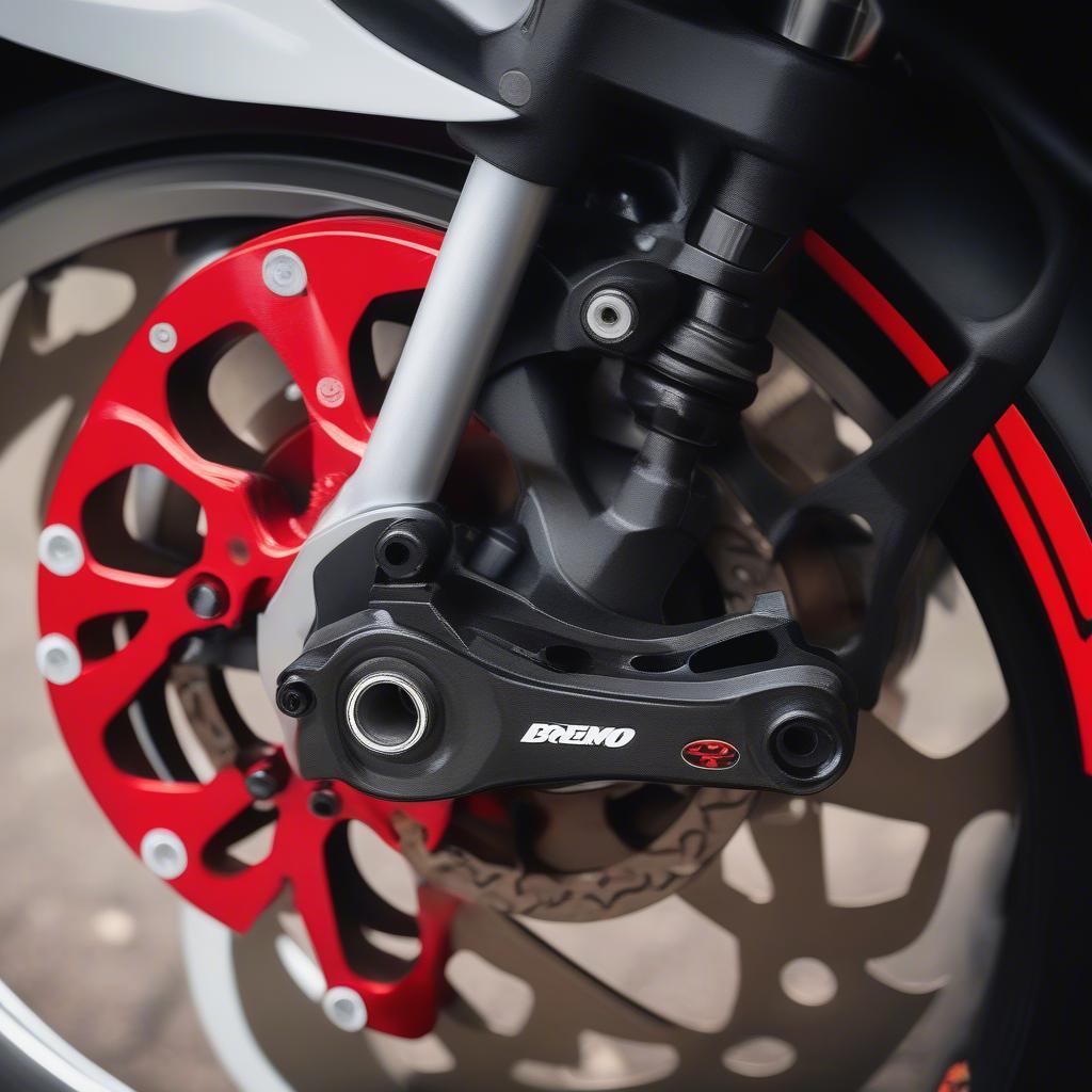 Lựa chọn heo Brembo cho BMW S1000RR