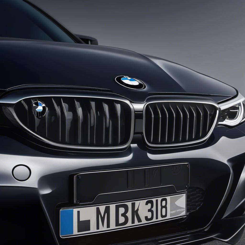 Lưới ca pô BMW 318i kiểu dáng thể thao