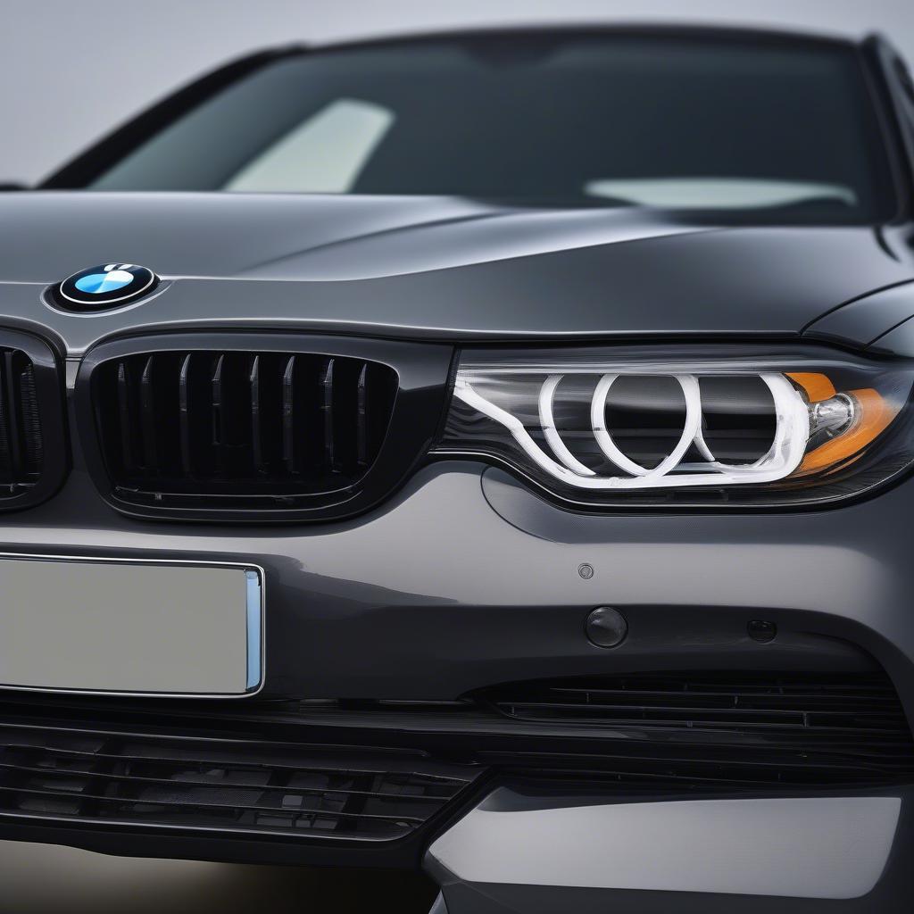 Lưới chắn đèn BMW bảo vệ đèn pha khỏi các tác động vật lý